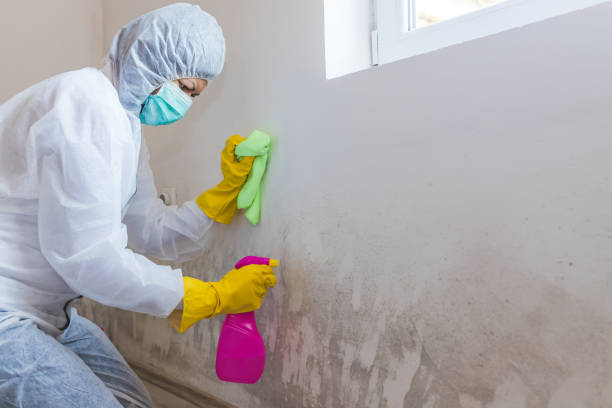 Mold Remediation for Vacation Homes in Meade, KS